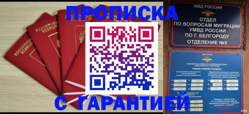 миграционный учет в Курске